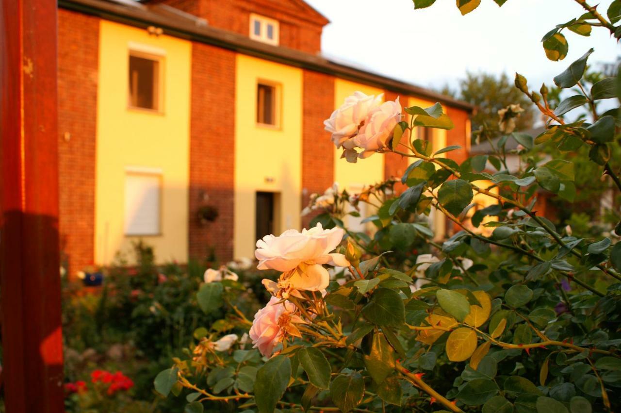 Ferienwohnungen Amselweg Brandenburg  Kültér fotó